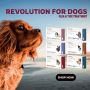 Revolution for Dogs: Complete Flea & Parasite Protection in 