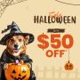 Halloween Pet Sale! 20% OFF + Big Savings at BudgetPetCare