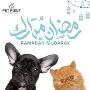 Pet Point Veterinary clinic Pet Point Veterinary clinic