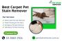 Best Carpet Pet Stain Remover | Eco-Friendly & Deep Cleaning