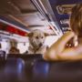 Professional Pet Shipping Services with Pets to England