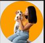 Best Dog Transportation Services for Stress-Free Travel