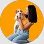 Expert Help Travelling Abroad with a Dog | Pet Taxi Abroad