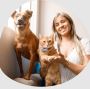 Eurotunnel Pet Taxi: Safe Pet Travel Across Borders