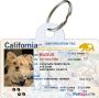 Pet Driver License – Fun & Official-Looking ID for Your Pet!