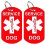 Service Dog Collar – Durable & Official Identification