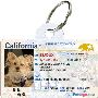 Pet Driver's License | Funny Novelty ID Tag for Pets