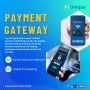 "Advanced Payment Gateway API Services "			