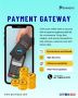 UPI & QR Code Payments in Noida
