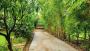 One Day Trip Packages Near Pune - Rajgad Farms