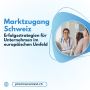 Marktzugang Schweiz: Erfolgsstrategien für Unternehmen im eu