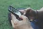 Overcome Phone Addiction