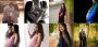 Best Maternity Photographer in Delhi NCR, Gurgaon: Maternity