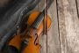 Violin Lessons Mississauga - In-studio & Online Violin Lesso Violin Lessons Mississauga - In-studio & Online Violin Lesso
