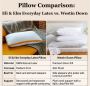 Best Pillow Reviews 2025 – Eli & Elm vs. Westin Down