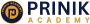 Master ChatGPT Prompts: Expert-Led Training at Prinik Academ