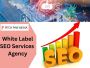 Why Partnering with a White Label SEO Agency in India is a S