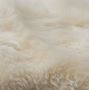 Buy 100% Genuine Natural British Sheepskin Rugs Online