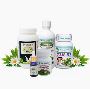 Natural Treatment for Respiratory Disorders 
