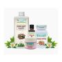 Herbal Remedies To Get Rid Of Stretch Marks