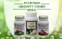 Natural Remedies To Boost Immunity - Immunity Combo Basic