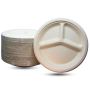 Stock Up with Bulk Disposable Plates Convenient, Los Angeles