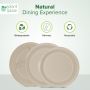 Shop Biodegradable Plates This Black Friday – Sustainable Sa