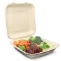 Buy 8x8 Clamshell Containers for Eco-Friendly Picnics