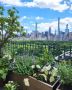 Top Garden Care Services in Manhattan & NYC – Over 50 Years 