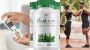 Plantsulin: Harnessing Nature’s Power for Effective Blood Su