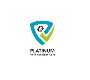 Platinum Mold Inspection Corp