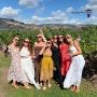 Explore Hideway Mountainside Wineries on a Unique Wine Tour!