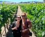 Wineries in Sonoma Valley California – Top Rated Spots