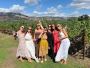Wine Tasting Adventures by Platypus Tours California