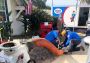Got Plumbing Issues? Plumber in Winnetka Can Help!