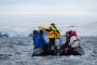Find Best Time To Visit Antarctica
