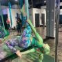 Personal Pole Dancing Lessons