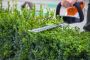 Affordable HOA Lawn Mowing Winter Haven Solutions