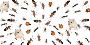 Understanding the Impact of Modesto’s Climate on Pest Activi
