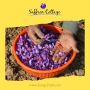 Buy Kashmiri Saffron Online from Saffron Cottage: Authentici