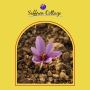 Dive Into the Golden World of Kashmiri Saffron with Saffron 