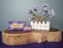 The 6 other uses of saffron