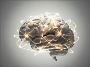 Boost Your Mind Power