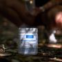 What to Look For When Buying Supplements Online in NZ