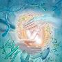 Gynecology Hospital in Jaipur :  Jeevan Rekha super Speciali