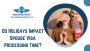 Do Holidays Impact Spouse Visa Processing Time?