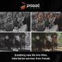 Colorization Services