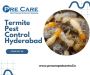 Termite Pest Control Hyderabad | Pre care Pest Control Termite Pest Control Hyderabad | Pre care Pest Control