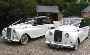 Beautiful & Luxurious Wedding Transport Available 