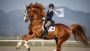 Boost Your Horse's Vitality with Premium Electrolytes for Eq